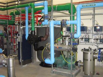 IMG_0316STADIUMPLANT1.JPG